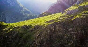 sorprendente natura sfondo - bellissimo paesaggio foto