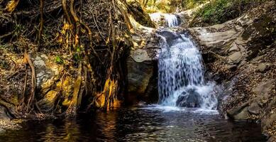 sorprendente natura sfondo - bellissimo paesaggio foto