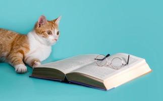 gatto allo zenzero con libro e bicchieri foto