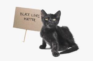 gattino con segno di cartone di materia di vita nera foto