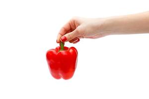 persona in possesso di un peperone rosso in mano isolato di fronte a sfondo bianco. concetto di mangiare sano foto