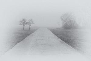 l calma paesaggio con strada nel nebbioso grigio inverni giorno foto