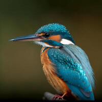 Comune europeo martin pescatore fiume martin pescatore volante dopo emergente a partire dal acqua con catturato pesce preda nel becco ai generativo foto