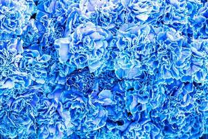 naturale blu sfondo con fiori avvicinamento foto