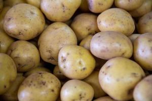 sfondo di patate foto