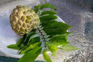 mano raccolto cherimoya foto