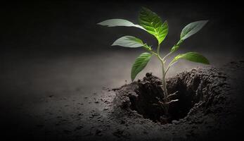 un' giovane pianta cresce a partire dal il terra. generativo ai foto