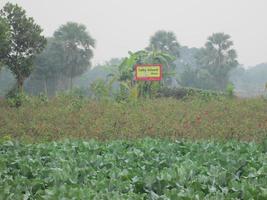 naturale foto nel bangladesh