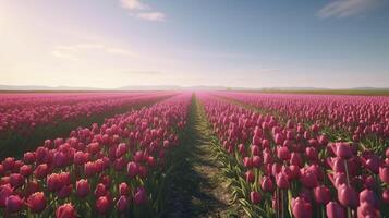 campo con rosa tulipani. generativo ai. foto