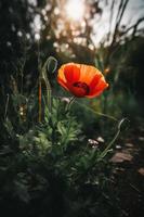 polly fiore nel il selvaggio travolgente fotografia di un' bellissimo e raro fiorire foto