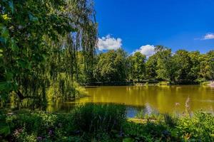 estate paesaggio con un' stagno saski giardino varsavia Polonia verde alberi caldo giorno foto
