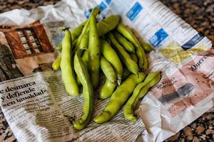 grande verde fagioli raccolto nel il giardino su il quotidiano giornale foto