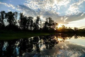 in il natura selvaggia foto