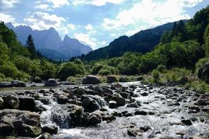 in il natura selvaggia foto