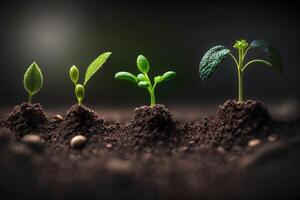 piantine in crescita a partire dal il terra , germinazione semi di vario , in crescita impianti e agricoltura concetto. creare ai foto