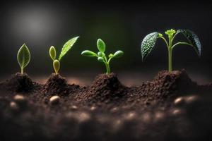 piantine in crescita a partire dal il terra , germinazione semi di vario , in crescita impianti e agricoltura concetto. creare ai foto