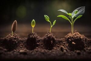 piantine in crescita a partire dal il terra , germinazione semi di vario , in crescita impianti e agricoltura concetto. creare ai foto