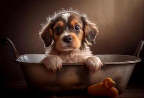 carino cucciolo cane nel vasca da bagno , animali domestici pulizia, studio sparo. creare ai. foto