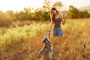 donna e sua rauco cane felicemente a piedi e in esecuzione attraverso il erba nel il parco Sorridi con denti autunno tramonto camminare con animale domestico, in viaggio con un' cane amico foto