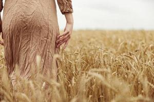 donna mani il contadino ha riguardato il maturazione di Grano orecchie nel presto estate infinito campo foto