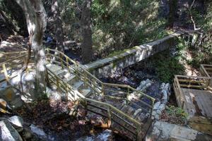 di legno le scale nel il foresta, paesaggio come un' sfondo. di legno le scale per il cascata nel il foresta. foto