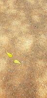 sfondo foto di parecchi giallo le foglie sparpagliato su Marrone terra