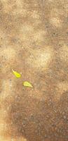 sfondo foto di parecchi giallo le foglie sparpagliato su Marrone terra