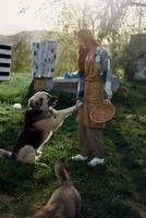donna accarezzando sua grande peloso cane Su. azienda agricola nel il campagna contro un' fondale di pulito lavanderia su un' corda foto