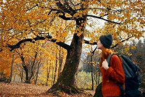 donna nel un' maglione passeggiate nel il parco nel autunno natura paesaggio fresco aria modello zaino foto