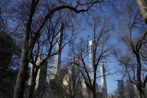 centrale parco alberi rami nuovo York Manhattan grattacieli Visualizza a partire dal il strada per il superiore di il edificio su soleggiato chiaro giorno foto