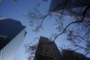 fiorire di alberi nuovo York Manhattan grattacieli Visualizza a partire dal il strada per il superiore di il edificio su soleggiato chiaro giorno foto