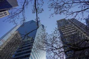 fiorire di alberi nuovo York Manhattan grattacieli Visualizza a partire dal il strada per il superiore di il edificio su soleggiato chiaro giorno foto