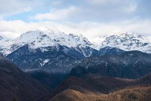 bellissimo montagna copertina con neve a il picco nel davanti di con pino foresta. foto