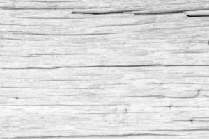 bianca legna superficie naturale struttura sfondo foto