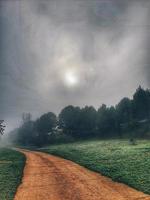 l calma paesaggio con strada nel nebbioso grigio inverni giorno foto