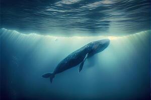 generativo ai illustrazione di blu balena sotto acqua, oceano foto