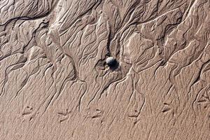 spiaggia sabbia struttura foto