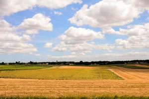 panoramico rurale paesaggio foto