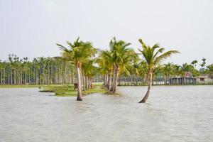 fiume erosione scenario di costiero cintura baia di Bengala. foto