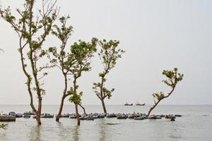 fiume erosione scenario di costiero cintura baia di Bengala. foto