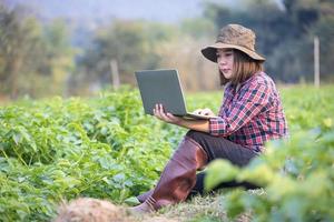 un' contadino o agronomo detiene un' inteligente tavoletta per analizzare dai un'occhiata il crescita e malattia di il impianti nel il Patata giardino. vegetariano food.smart agricoltura, agricoltura attività commerciale concetto. foto