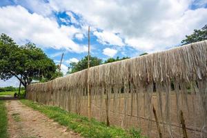 iuta fibra siamo tenuto appendere su per sole essiccazione a Madhabdi, narsingdi, bangladesh. foto