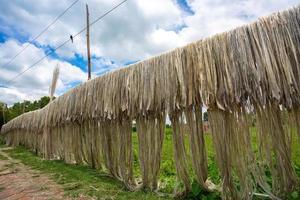 iuta fibra siamo tenuto appendere su per sole essiccazione a Madhabdi, narsingdi, bangladesh. foto