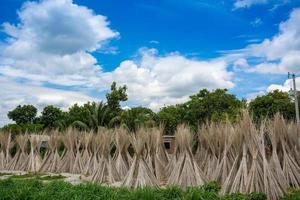 un' soleggiato giorno, blu bianca verde e Marrone colore strato nel bellissimo bangladesh iuta essiccazione scena a Madhabdi, narsingdi, bangladesh. foto