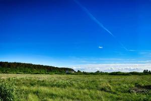 pittoresco primavera paesaggio con blu cielo e verde i campi foto