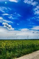 pittoresco primavera paesaggio con blu cielo e verde i campi foto