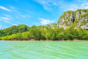 bella foresta tropicale di mangrovie in thailandia foto