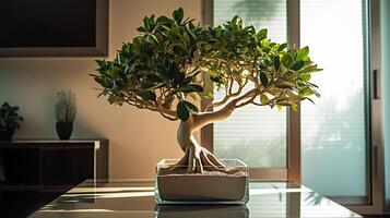 ai generato piccolo ficus Bonsai albero nel bicchiere nascondiglio pentola su tavolo nel moderno interno nel luce del sole giapponese, est asiatico, arte generativo ai foto