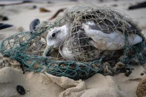 uccello catturato nel un' plastica Borsa. ai generato foto