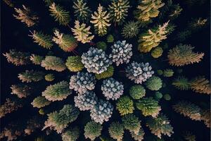 generativo ai illustrazione di superiore giù Visualizza di il foresta nel primavera. primavera paesaggio nel il foresta foto